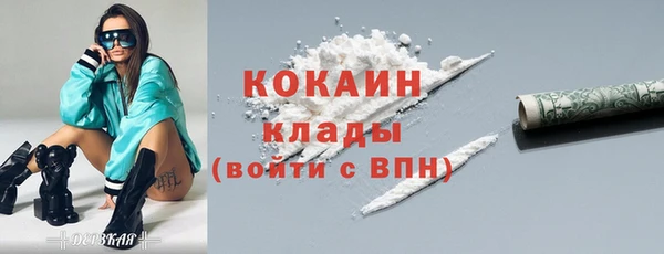 ПСИЛОЦИБИНОВЫЕ ГРИБЫ Вязники