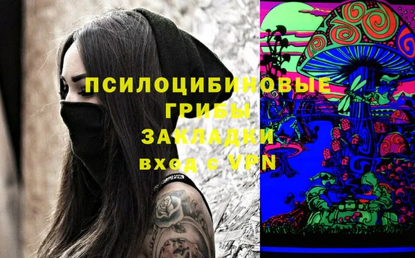 Альфа ПВП Володарск