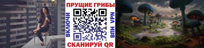 Псилоцибиновые грибы Magic Shrooms  Купить где  Кондопога 