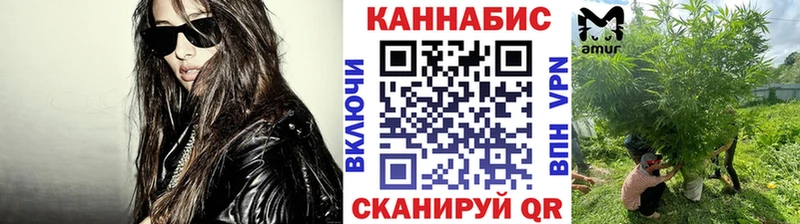 Конопля планчик  Купить закладки  Кондопога 